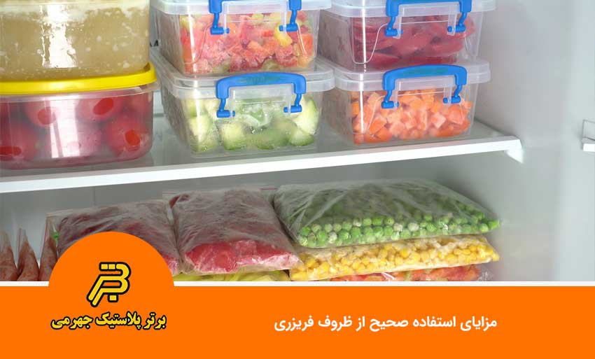 مزایای استفاده صحیح از ظروف فریزری